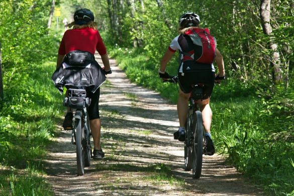 自転車乗りだけでなく 車の運転する人にも知っておきたい手信号 ハンドサイン Nekosatolog