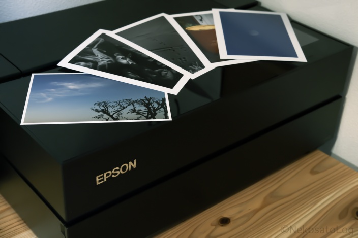 まとめ買い】 エプソン プリンター A3ノビ インクジェット SC-PX1V 写真印刷向け